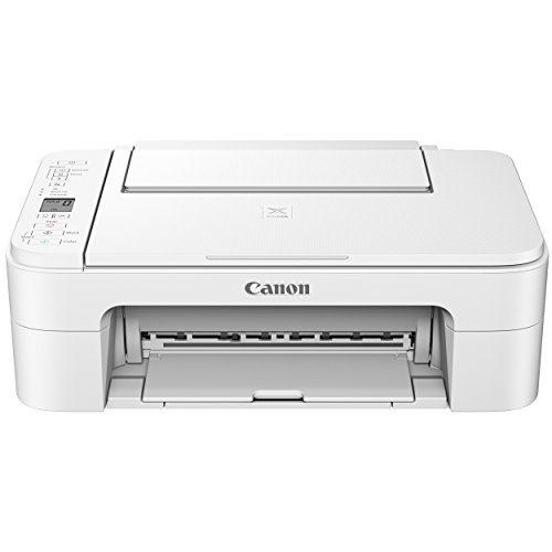 Canon Ts3120 Wireless All-In-One Printer, White