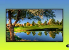 Most Popular Tvs On Amazon In 2026: 5 Top Picks