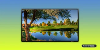 The Latest TVs of 2021