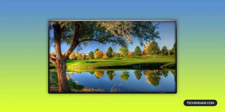 The Latest TVs of 2021