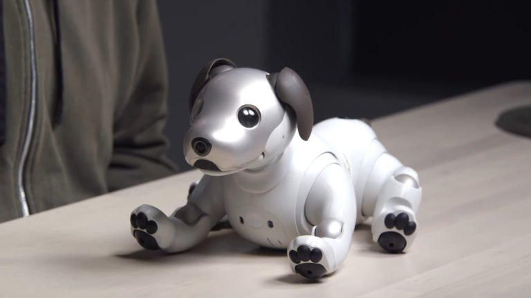 Aibo