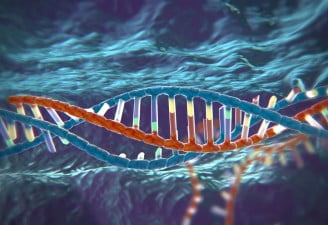 CRISPR-Cas9