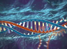 Salk Institute Discovered An Rna Editing Tool