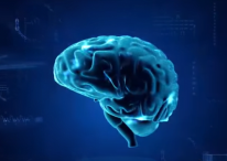 Brain to Brain Communication