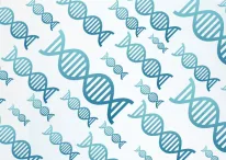 An illustration of DNA