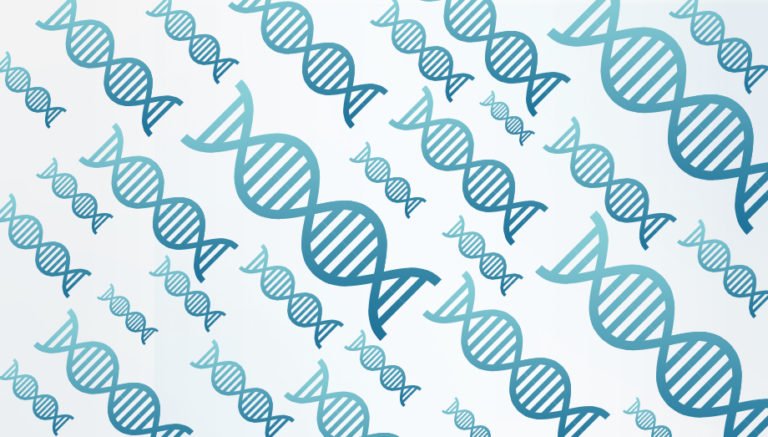 An illustration of DNA