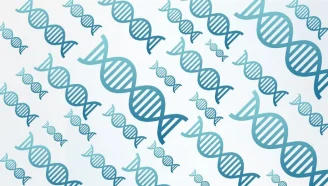 An illustration of DNA