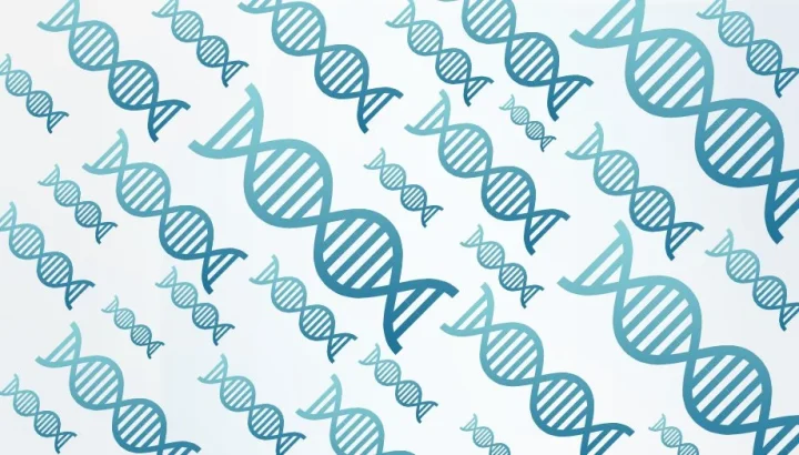 An illustration of DNA