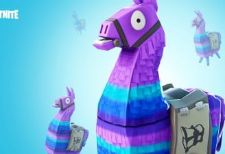 Fortnite lawsuit