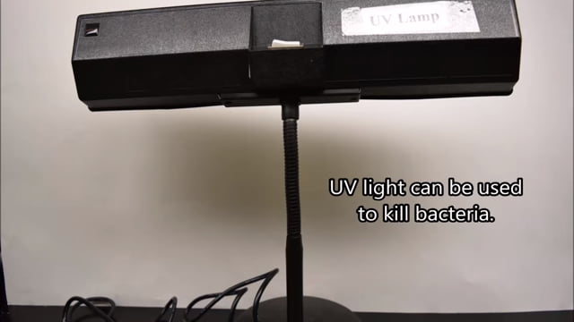 Uv Lamp