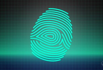 Image Contains illustration of Digital Fingerprint Representing AI can Hack into Biometrics
