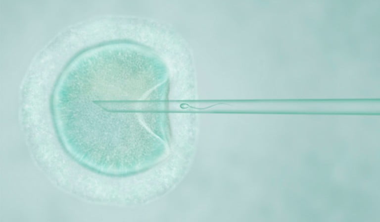 Visual representation of In Vitro Fertilization (IVF) Embryo screening