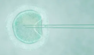 Visual representation of In Vitro Fertilization (IVF) Embryo screening