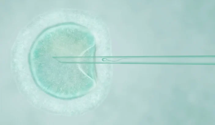 Visual representation of In Vitro Fertilization (IVF) Embryo screening