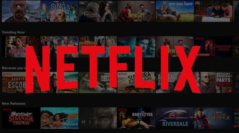 Netflix streaming services