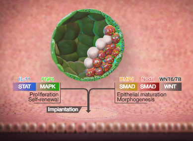 Nature-Biotech-Innovations-2018