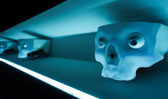 Photo contains two skulls with eyeballs