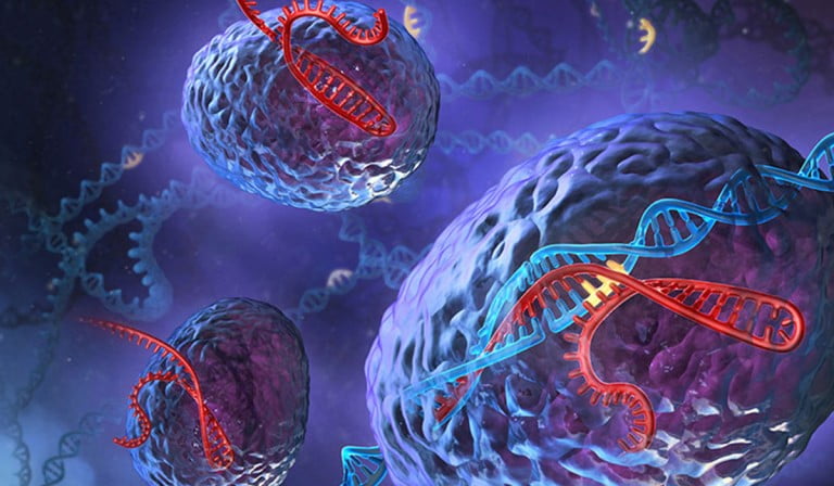 Moderna biotech company in review