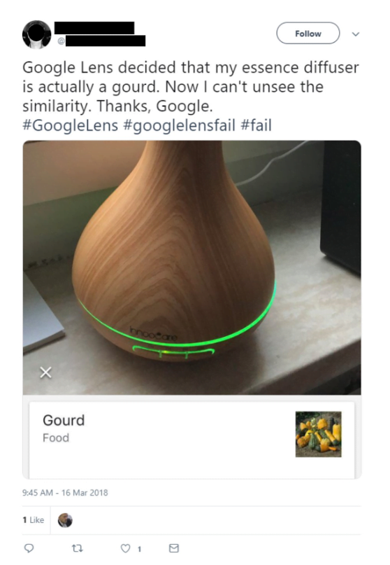 Google Lens Confusion Tweet