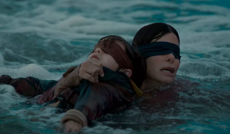Scene from Bird Box on Netflix