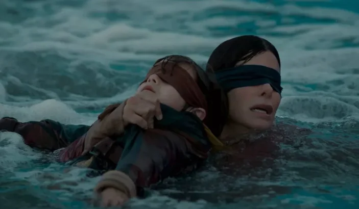 Scene from Bird Box on Netflix