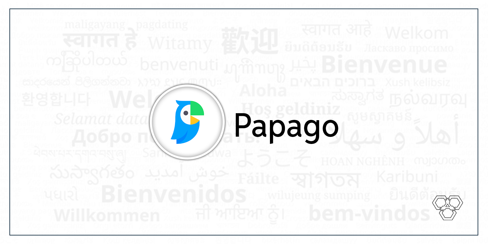 Papago App