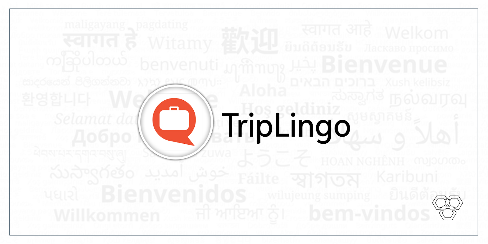 Triplingo App