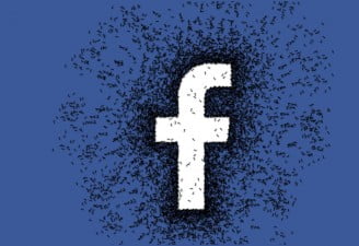 ants in a group around facebook logo