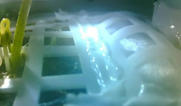 a plant sprouted on moon lander