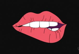 LipPass lip identification system