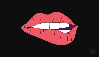 LipPass lip identification system