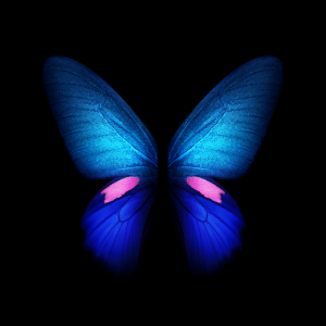 Blue Butterfly Galaxy Fold Wallpaper