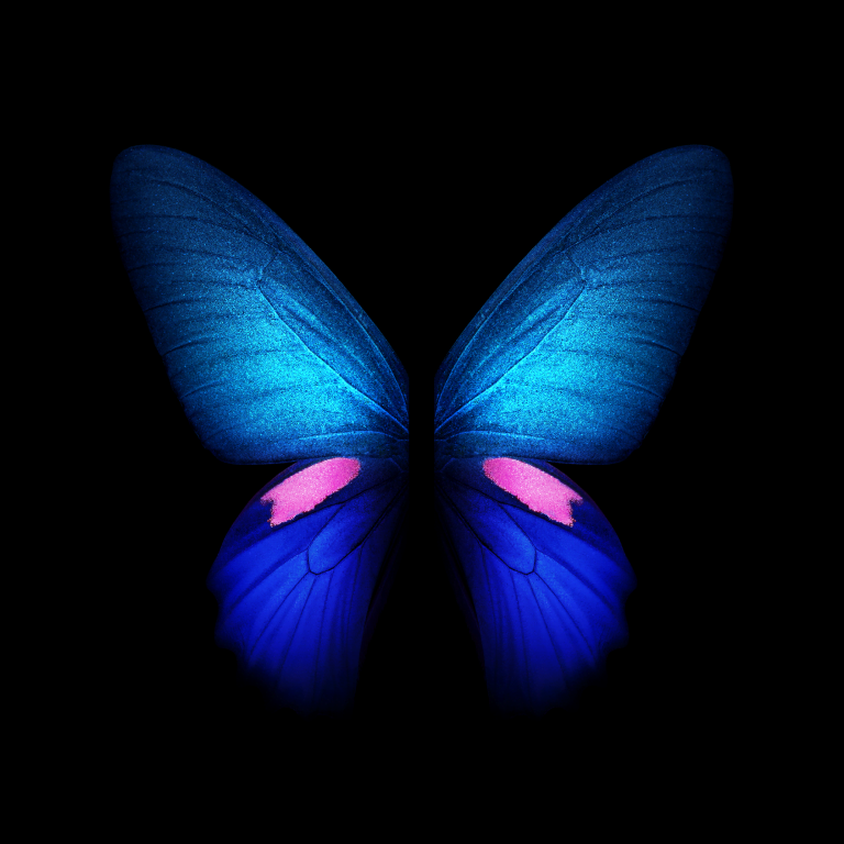 Samsung Galaxy Fold live and static wallpapers available for download