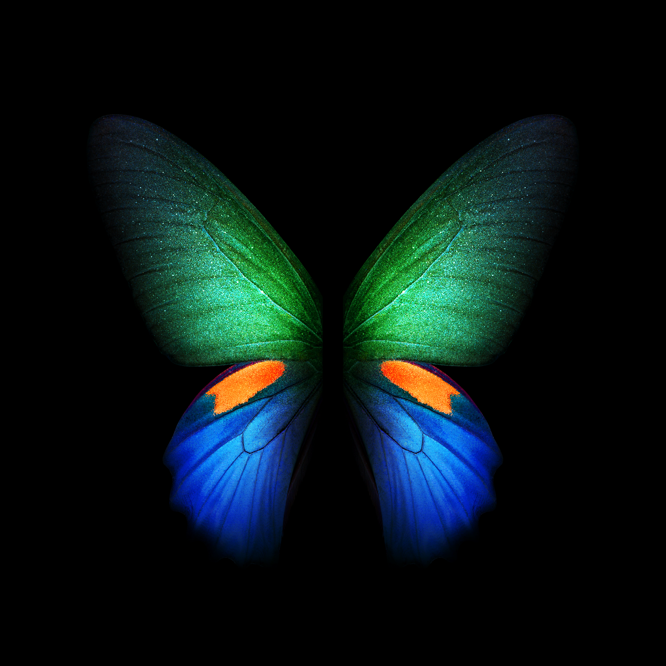 Galaxy Fold Butterfly Wallpaper