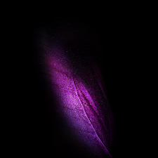 Samsung Galaxy Fold Live And Static Wallpapers Available For Download 7 Galaxy Fold Wallpaper Purple
