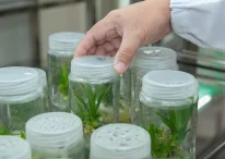 BioTechnology Applications
