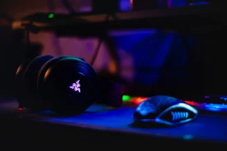 Gaming Headphones and PC