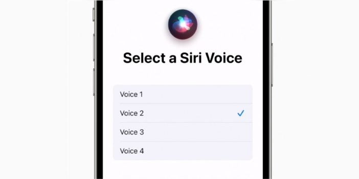 A Screenshot Showing Different Siri Voice Options