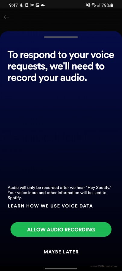 Spotify Prompt Message 2 |