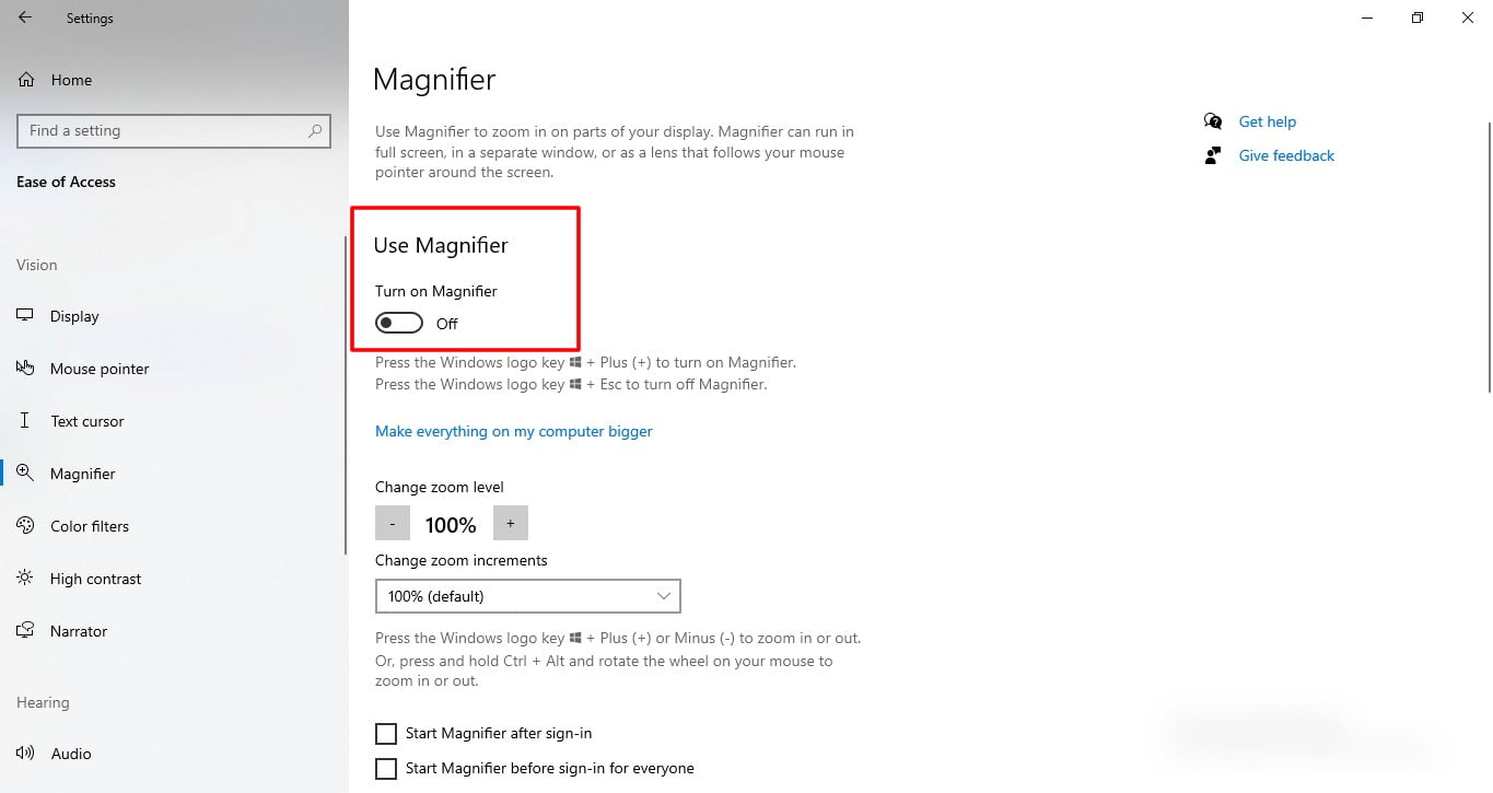 Screenshot Of Magnifier Feature In Windows 10