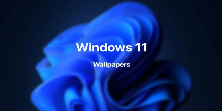 Windows 11 Wallpapers