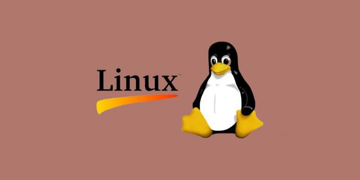 Linux Logo