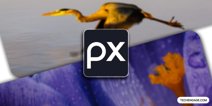 Pixabay Wallpapers App