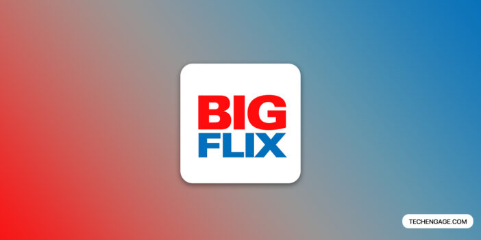 Bigflix Logo