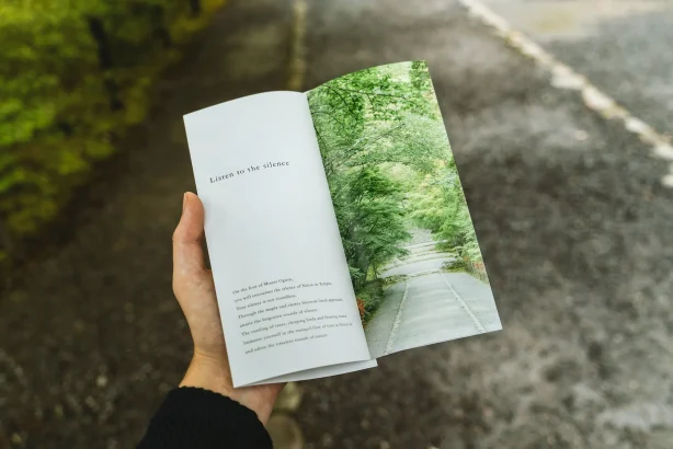 A picture of flyer in the hands of a person